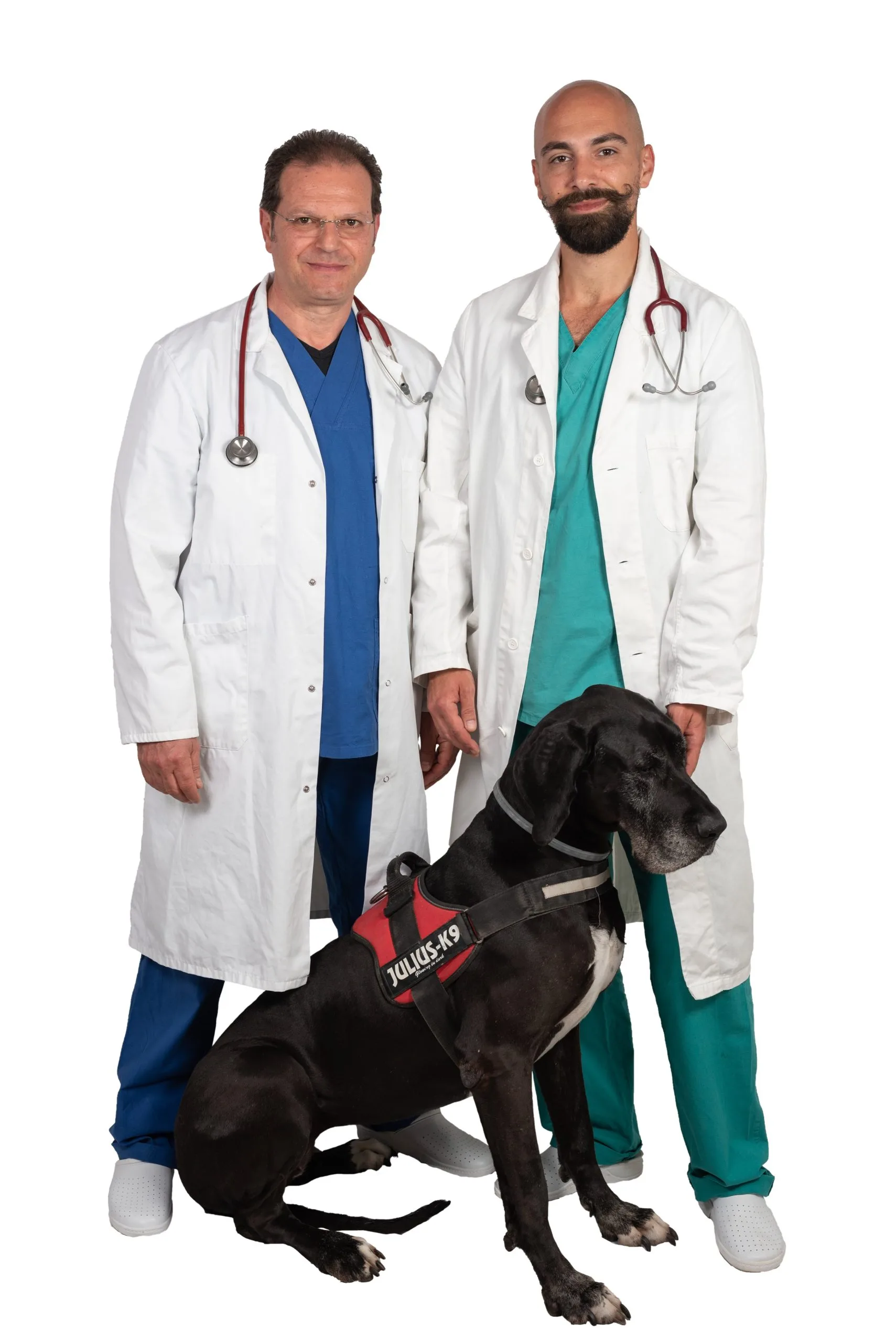 Ambulatorio veterinario a Trapani